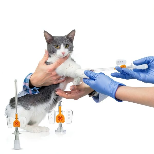 IV Catheter Canlisto 24G with Wings and Injection Port Veterinary-4